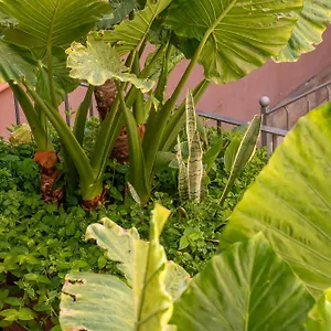 Bed & Breakfast Verdi 254, Barcellona